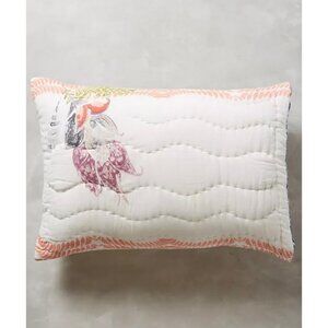 Anthropologie Woodblock Floral Shams